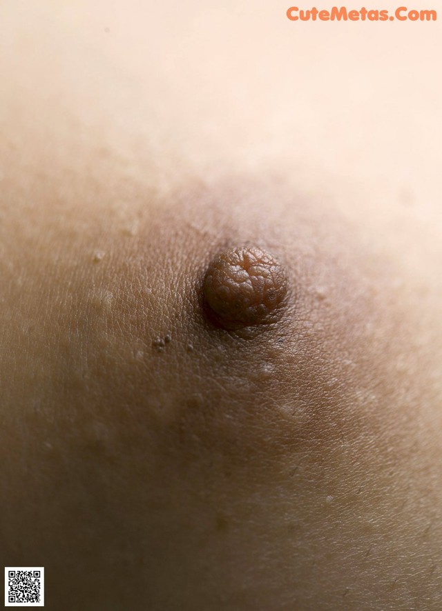 Sasa Handa - Toy Related Galleries No.5145a7